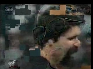 WWF Stars Talk About Who Ran Over Austin