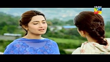 Sange Mar Mar Episode 8 on Hum Tv 20th October 2016