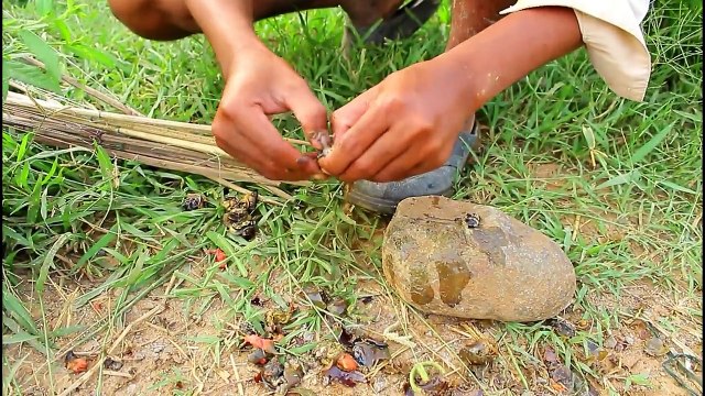 Net Fishing at pailin Province - Khmer Cast Net Fishing -Cambodia Traditional Fishing ( Part 109)
