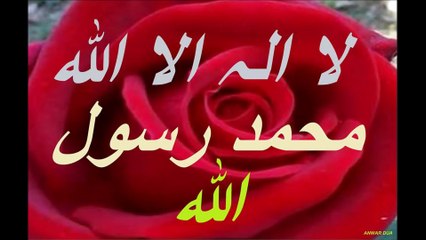 لا الہ الا اللہ محمد رسول اللہ Daily