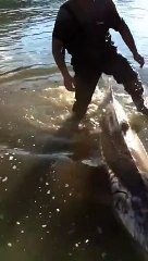 Amazing !! It looks like a fisherman's dream