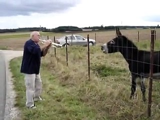 Eşşekle düet yapan amca :)