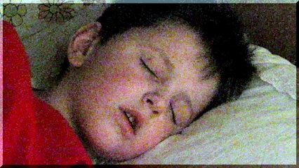 emHOME - familyspavanjac 2009