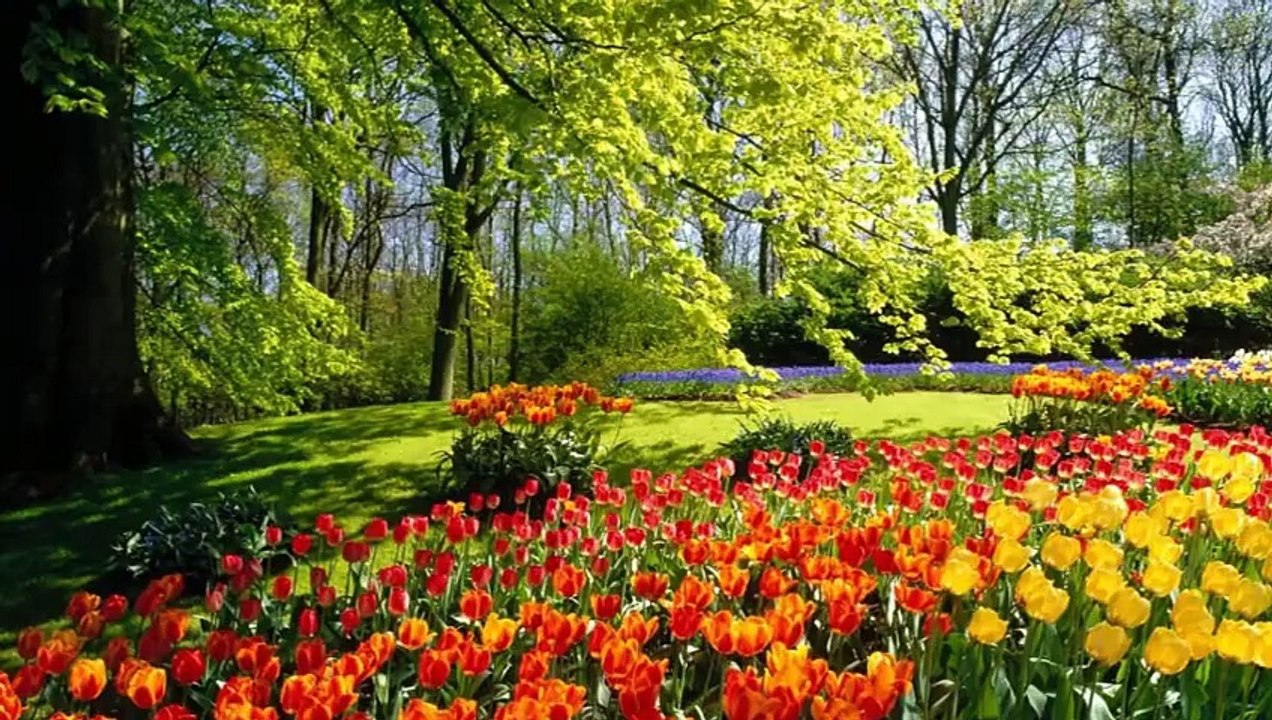 ma plus belle fille de monde je taime et je te souhaite tout le bonheur du monde ton papa hamadi