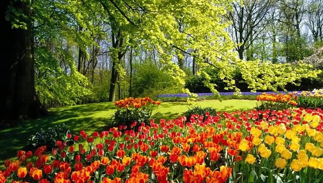 ma plus belle fille de monde je taime et je te souhaite tout le bonheur du monde ton papa hamadi