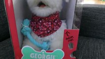 DOG Challenge - Zumi vs Georgie The Interactive Toy Dog (12 Commands) DCTC Pet Videos[1]