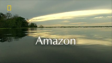 Реки Жизни. Амазонка