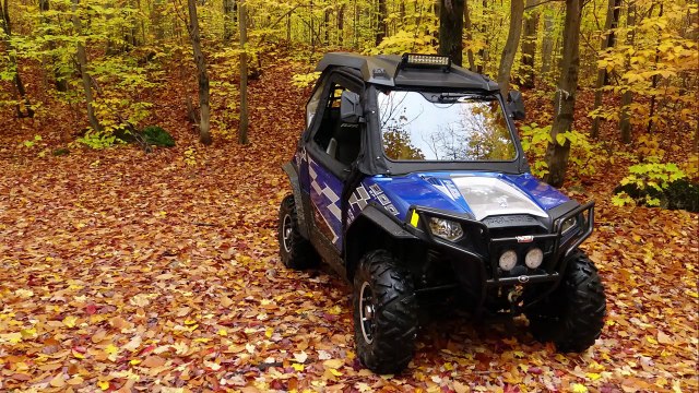 RIDE AU RELAIS ST-BARTHÉLEMY RENTRER DU BOIS 19 OCT 2016