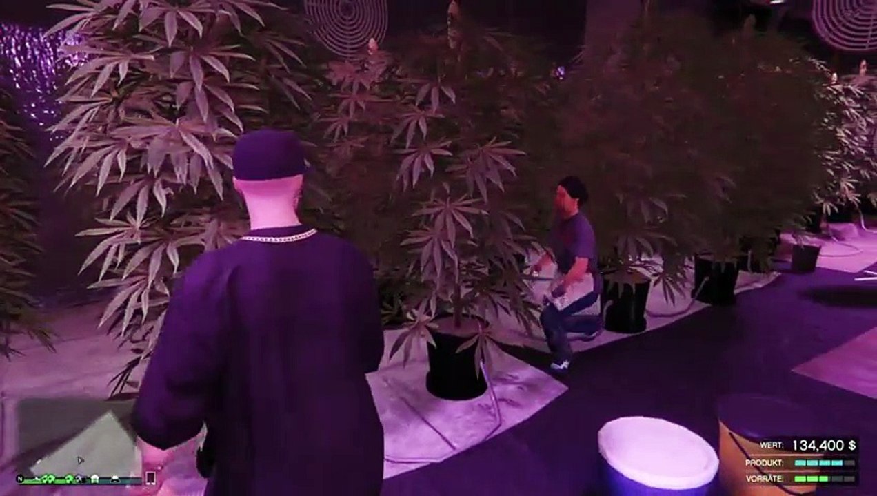 Gta v  24 stunden stream (22)