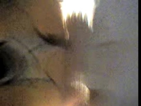 The Rakes FAV Colmar 2007