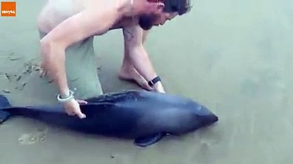 unknown creature in earth