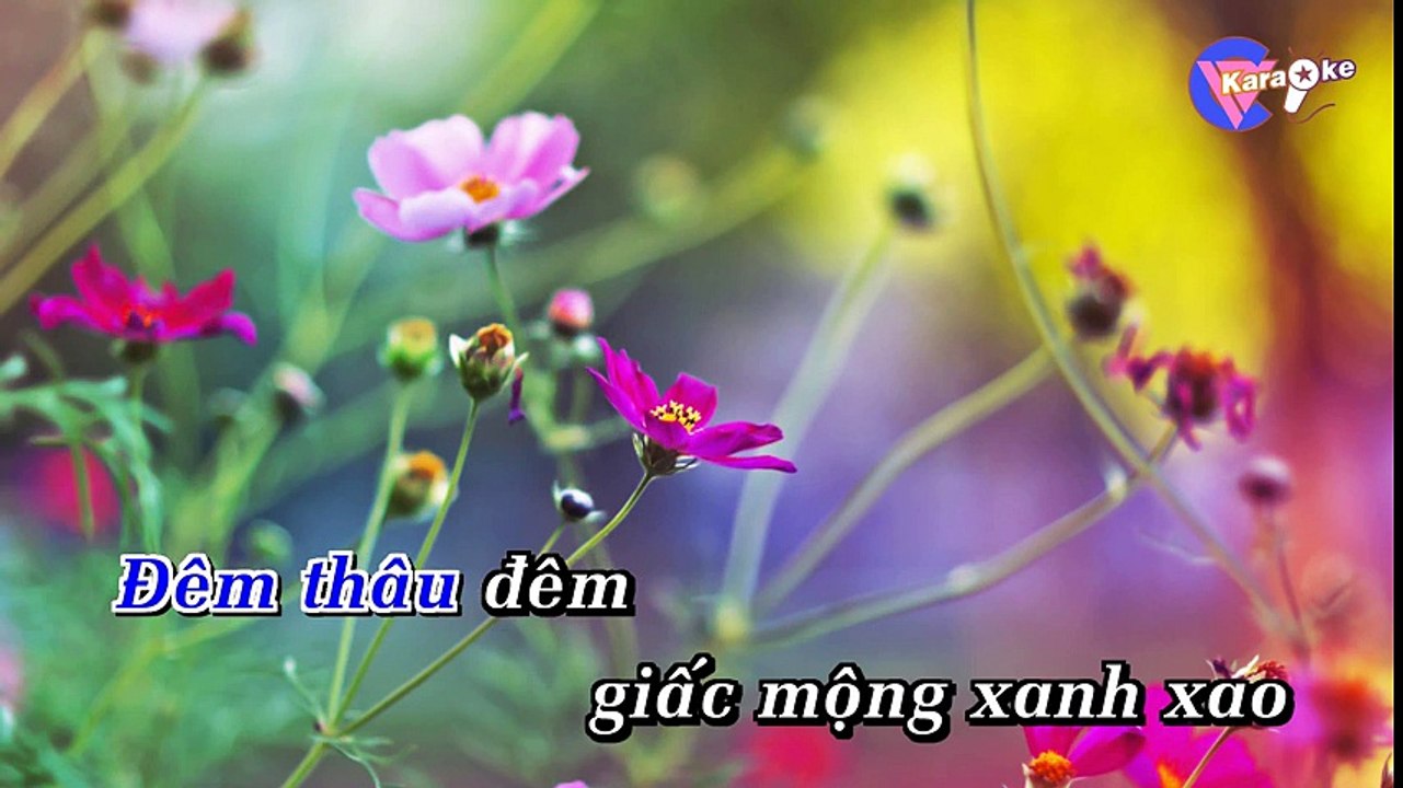 71 trom nhin nhau