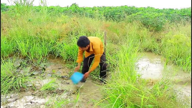 Net Fishing at pailin Province - Khmer Cast Net Fishing -Cambodia Traditional Fishing ( Part 108)