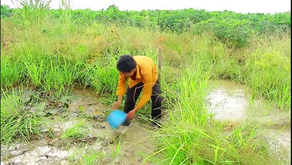 Net Fishing at pailin Province - Khmer Cast Net Fishing -Cambodia Traditional Fishing ( Part 108)