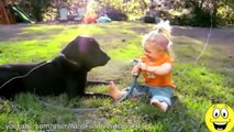 Funny Videos - Babies Laughing at Dogs - Cute dog & baby compilation