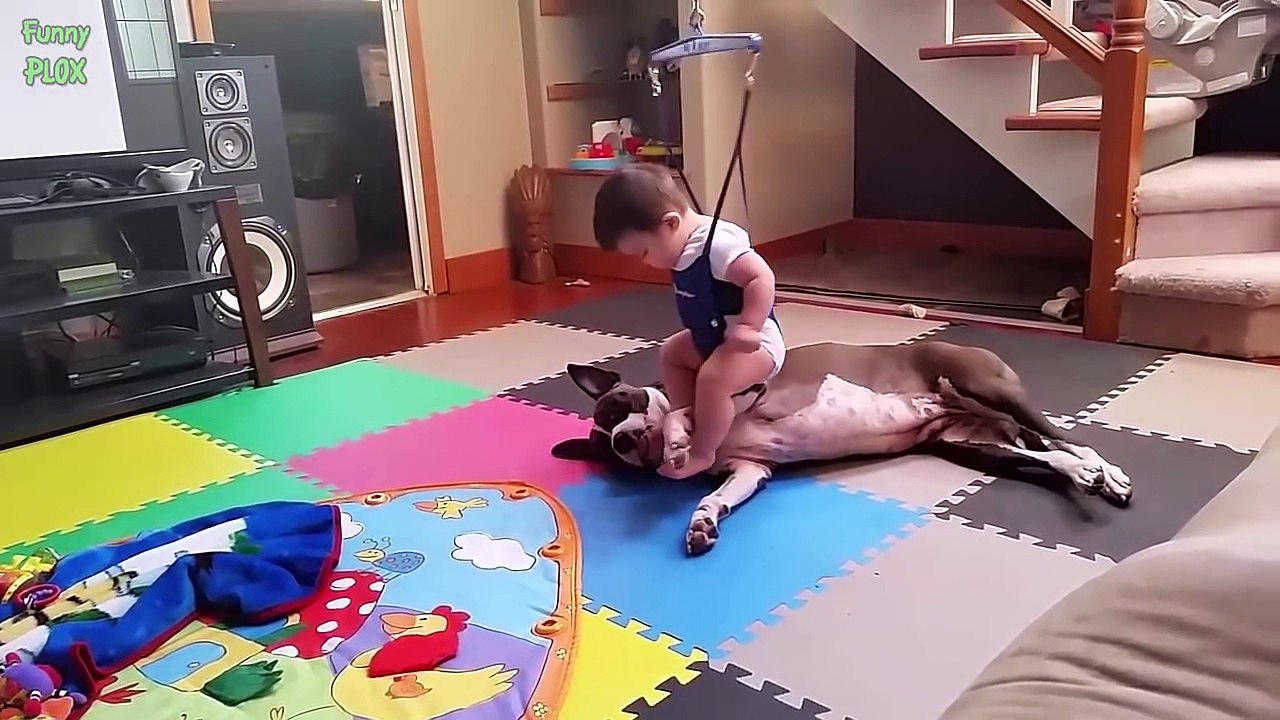 Dogs and Babies are Best Friends   15 Minutes