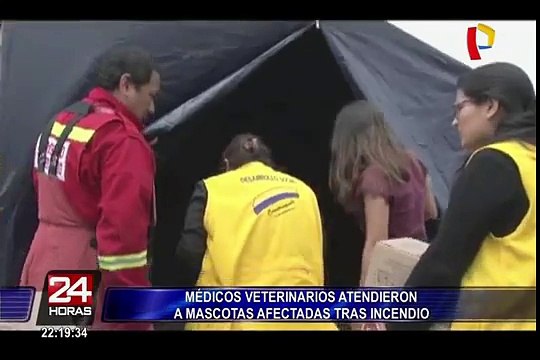 El Agustino: veterinarios atendieron a mascotas afectadas tras incendio