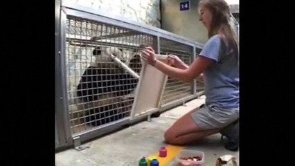 Bao Bao to say bye-bye