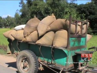 শেরপুরে সরকারের খাদ্যবান্ধব কর্মসূচির চালসহ আটক এক