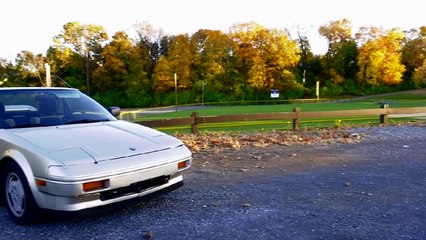 1991 Ford Festiva: Regular Car Reviews