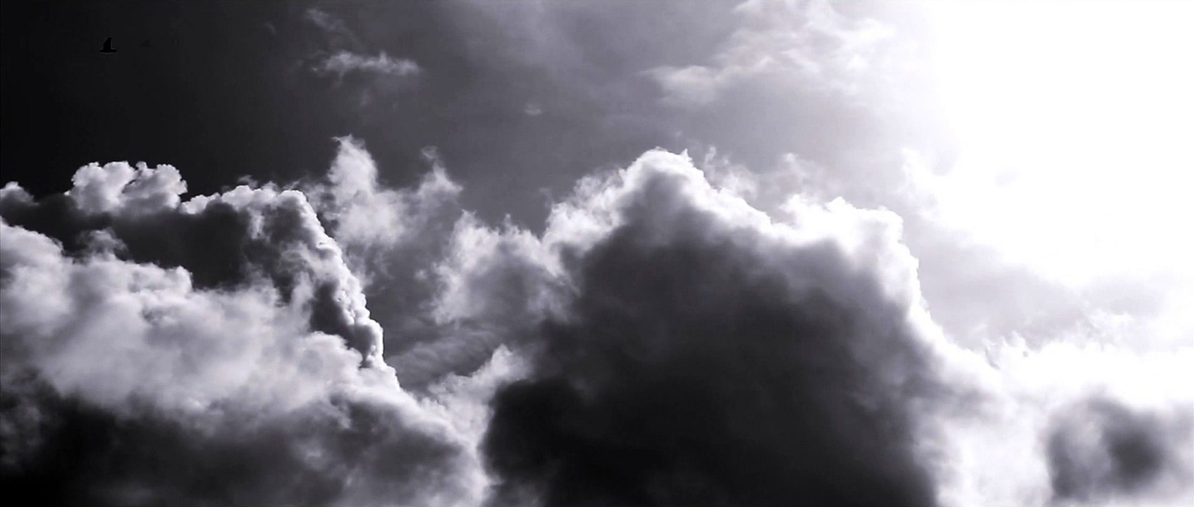 damien saez  les meurtrieres(petite fenetre de bulding )mon mari décédé j ai toujours pas fait mon deuil et j aimerais tellement le rejoindre mais allah décideras de mon jour notre chanteur ue mon mari décédé ma fait connaitre grand artiste pour mon mari