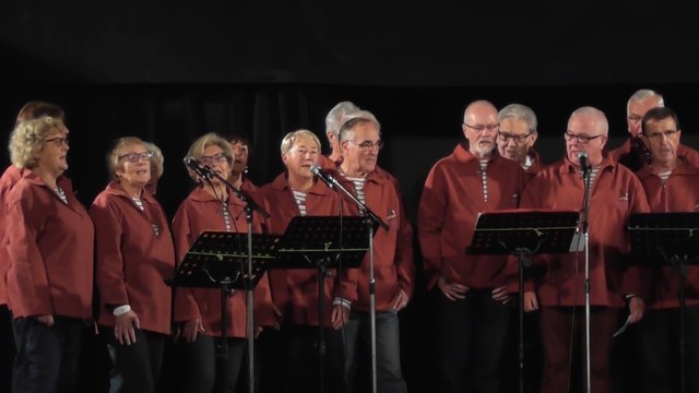 Téléthon Ploufragan 2016 - La Danaë chants de marins (1)