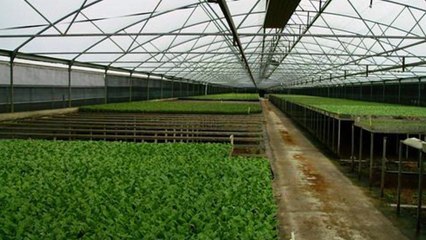 Commercialproperty2sell : Commercial Farm For Sale In Manjimup South Western Wa