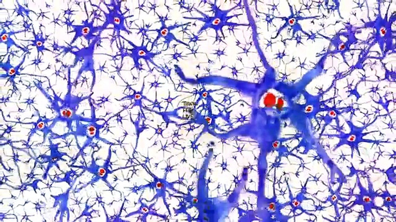 You Have A Second Brain
