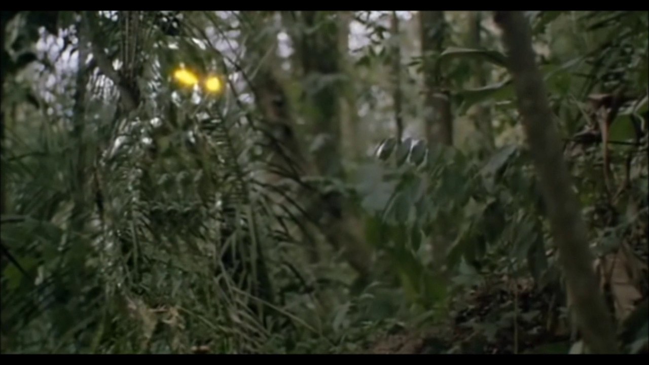 PREDATOR - Ash