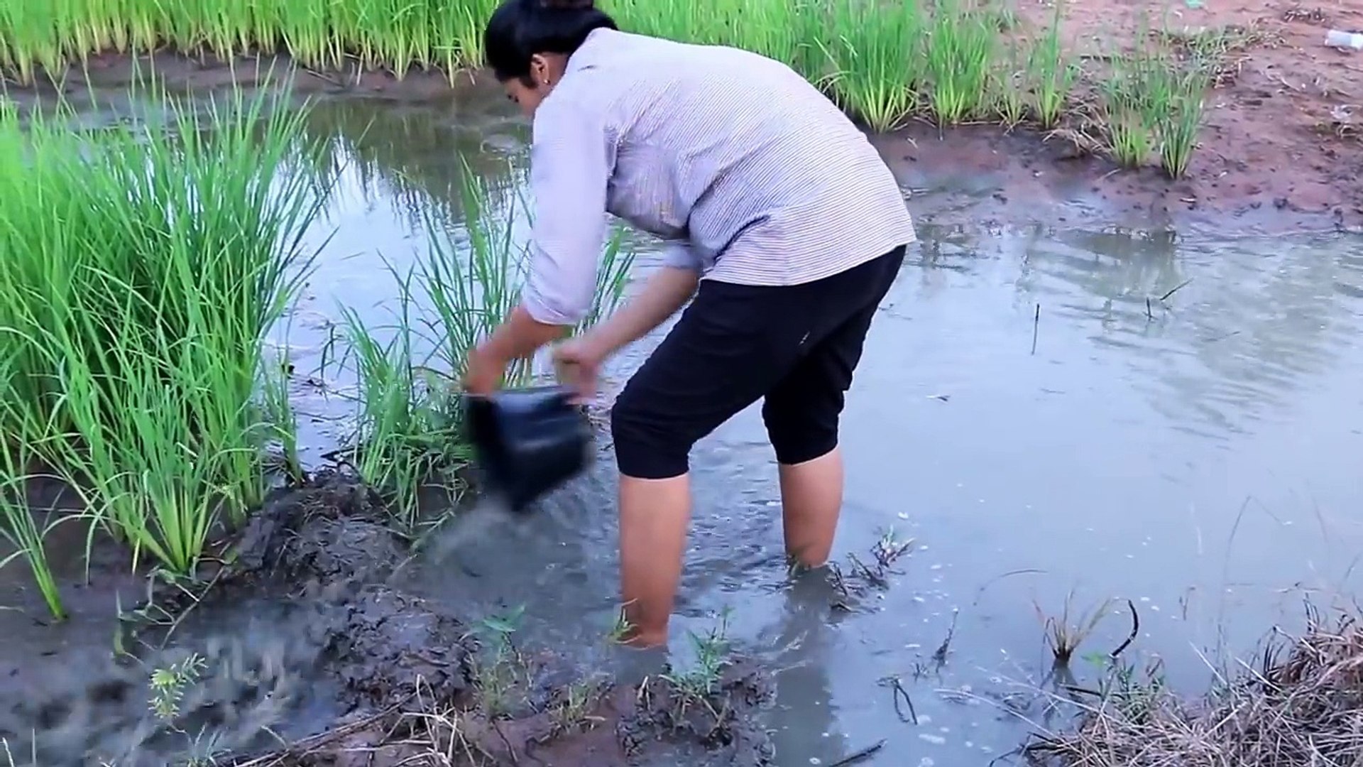 Beautiful Girl Fishing - Amazig Fishing at Battambang - Cambodia Traditional Fishing - (Part 63)