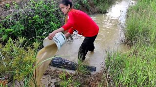 Beautiful Girl Fishing - Amazig Fishing at Battambang - Cambodia Traditional Fishing - (Part 68)