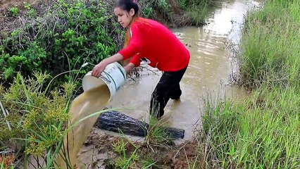 Beautiful Girl Fishing - Amazig Fishing at Battambang - Cambodia Traditional Fishing - (Part 68)