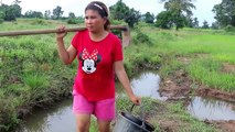 Beautiful Girl Fishing - Amazig Fishing at Battambang - Cambodia Traditional Fishing - (Part 81)