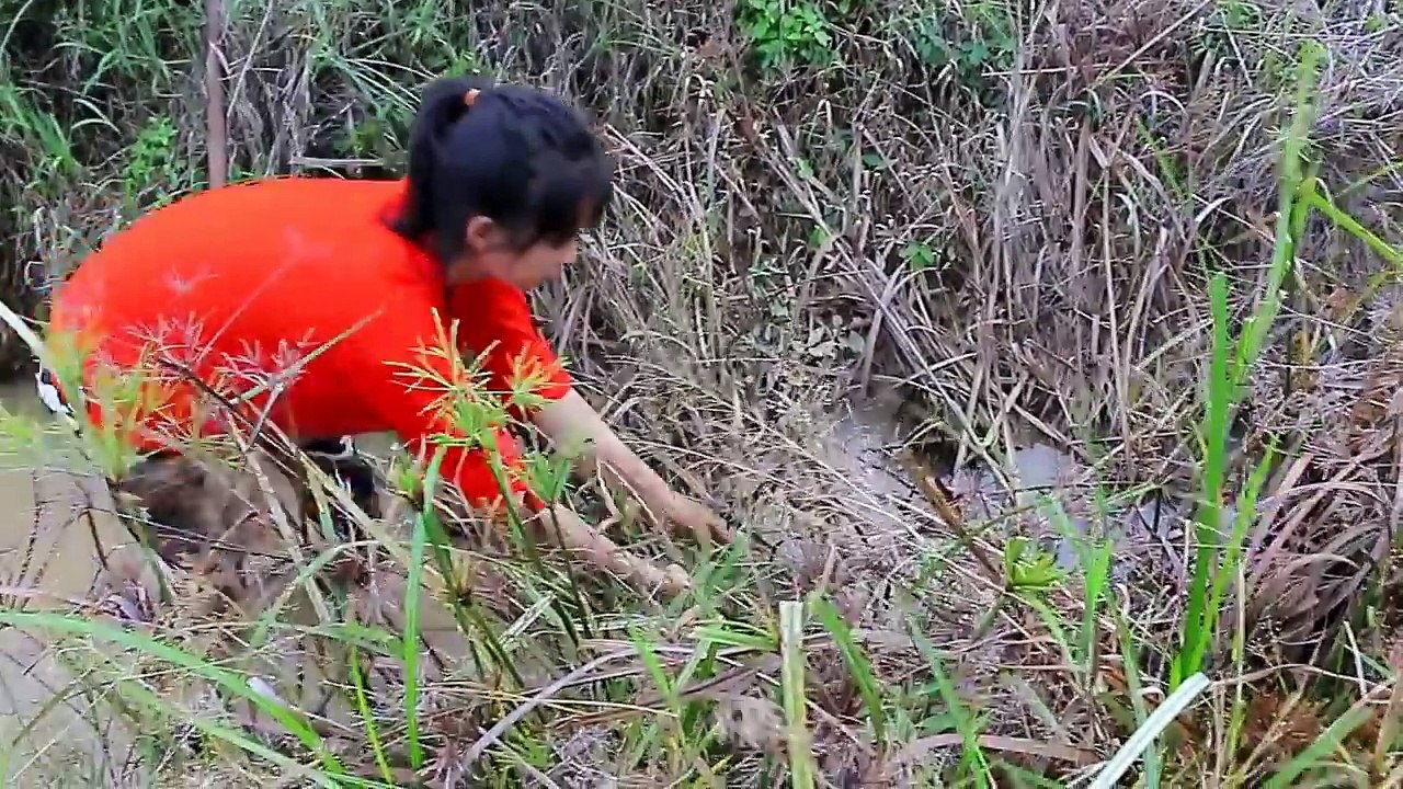 Beautiful Girl Fishing - Amazig Fishing at Battambang - Cambodia Traditional Fishing (Part 70)