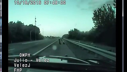 Un policier recueille un aigle d'amérique blessé au bord de la route