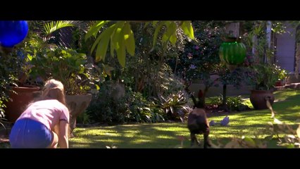 Home and Away 6531 24th October 2016 (Preview)