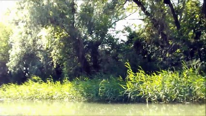 CAMAC na TISI - DUSKO JAKSIC - O. MARKOVIC 2016