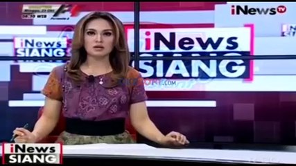 Serunya Satpol PP Kejar-kejaran dengan Kambing