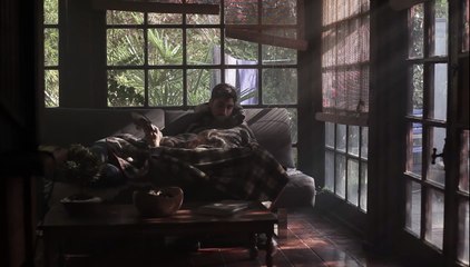 LAS PLANTAS - TRAILER OFICIAL ESTRENO 20 DE OCTUBRE