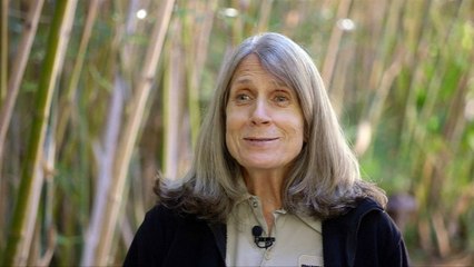 Gorilla birth surprises zoo keepers