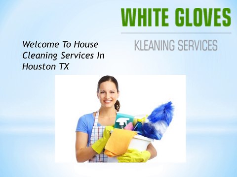 Hire Expert Cleaners Team for Cleaning Requirment in Houston