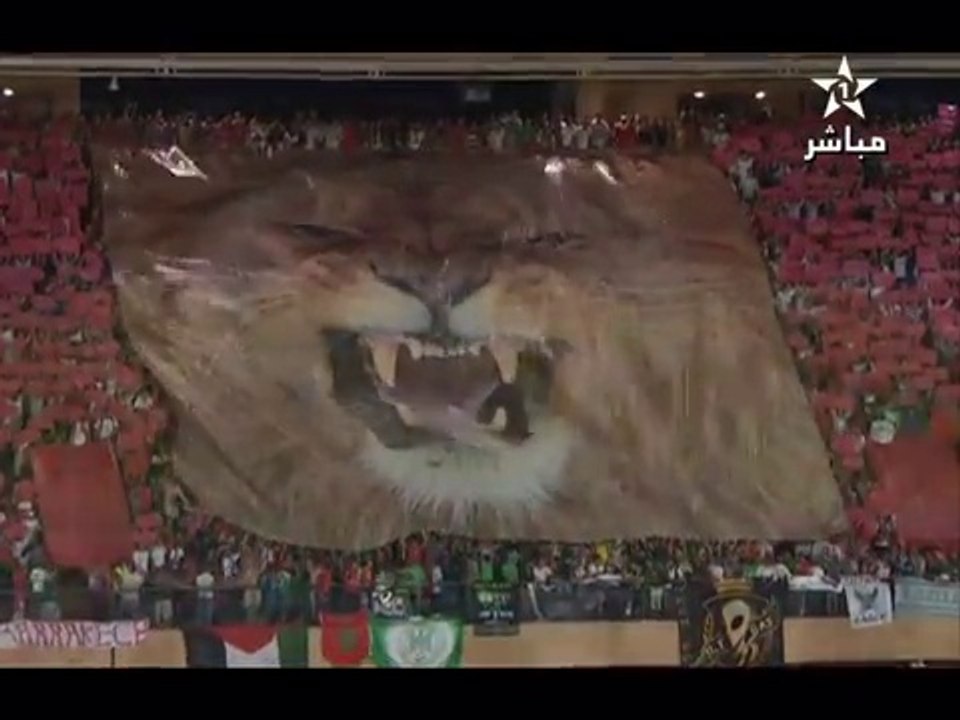 Le Meilleur Tifo dans le monde