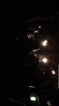 What'll I do - October 22, 2015 – Bob Dylan – Royal Albert Hall, London, England