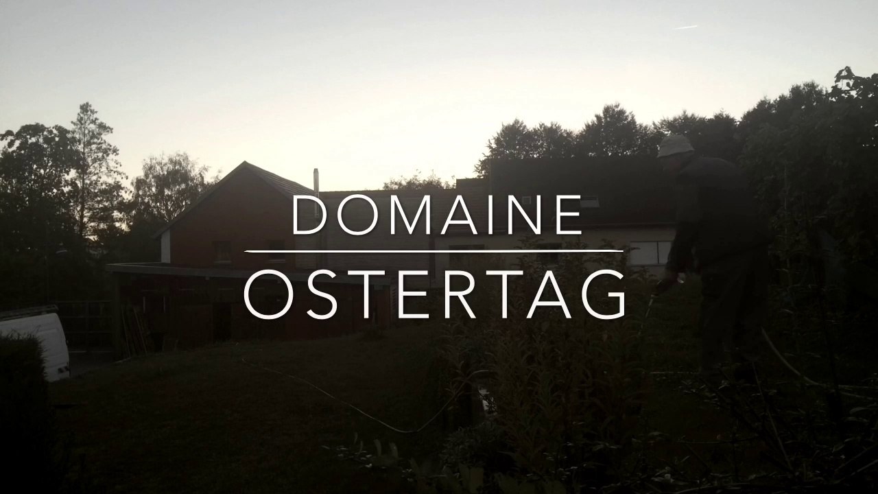 vendanges Ostertag 2016