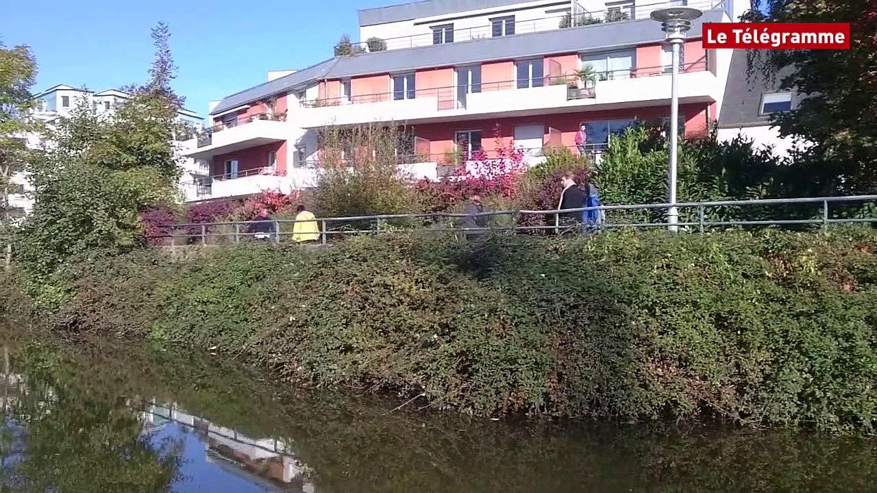 Rennes. La ville redécouvre son eau