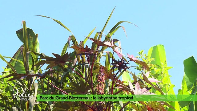 Folies Botaniques au Parc du Grand Blottereau #3