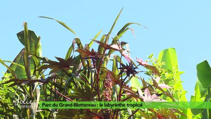 Folies Botaniques au Parc du Grand Blottereau #3