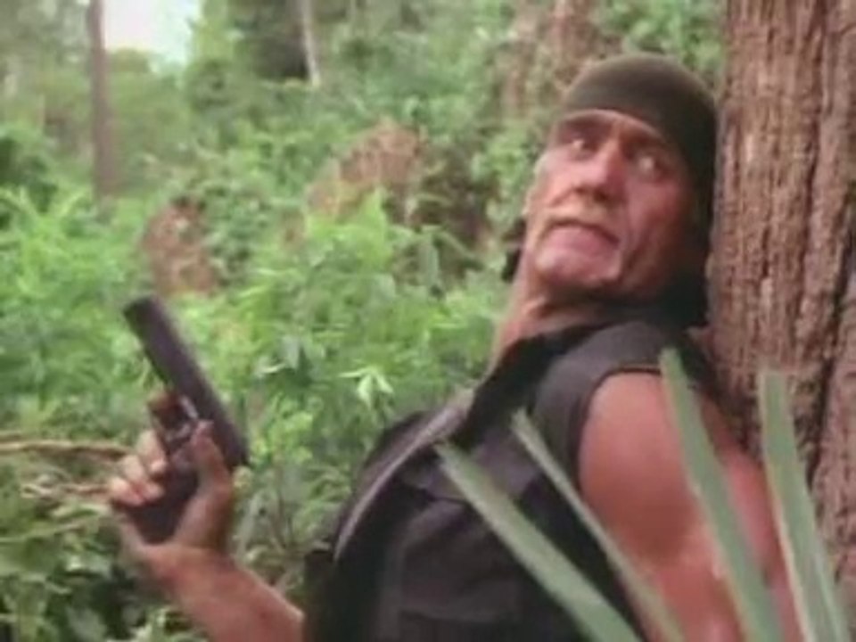 Hulk Hogan