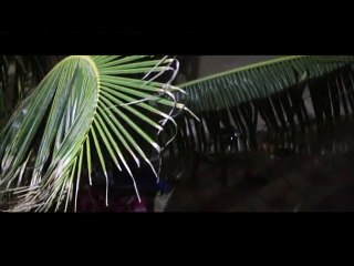 La luxueuse maison de Cheikh Amar à Touba