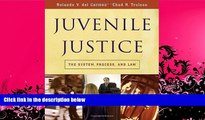 book online Juvenile Justice: The System, Process and Law (Available Titles CengageNOW)